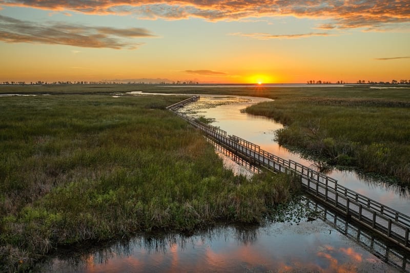L'estuaire de la Gironde