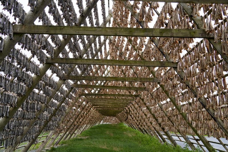 Les séchoirs à morue de Bègles