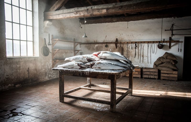 L'âge d'or des séchoirs à morue de Bègles